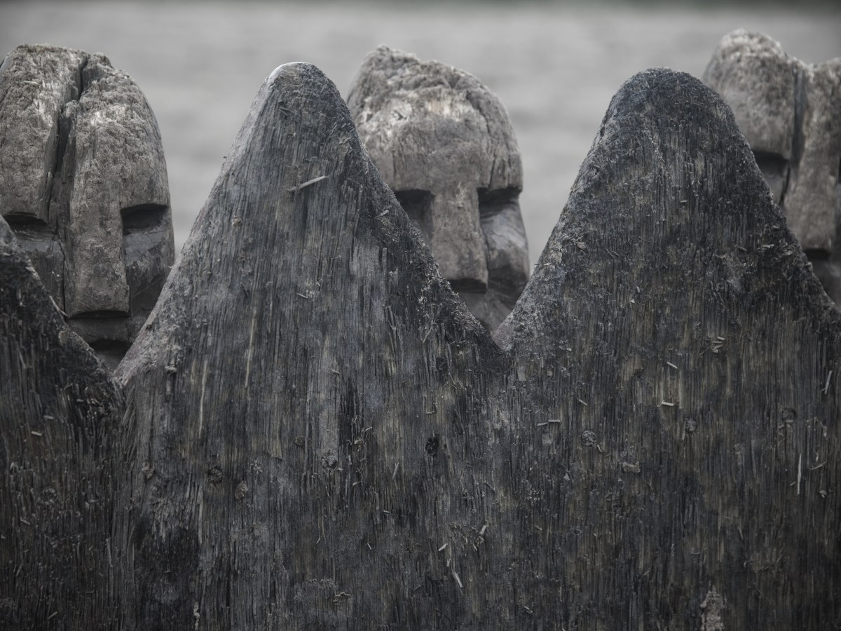 Puertas Abiertas «Vikingas»